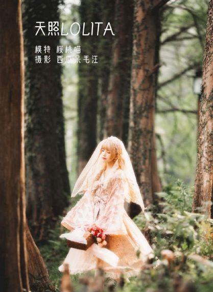火调者小说免费阅读_蓝光免费播放